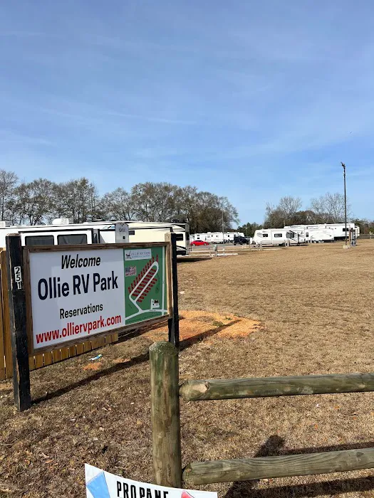 OLLIE RV PARK Picture 4