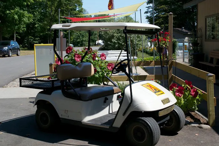 Traverse City KOA Holiday Picture 9