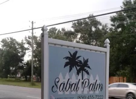 Sabal Palm
