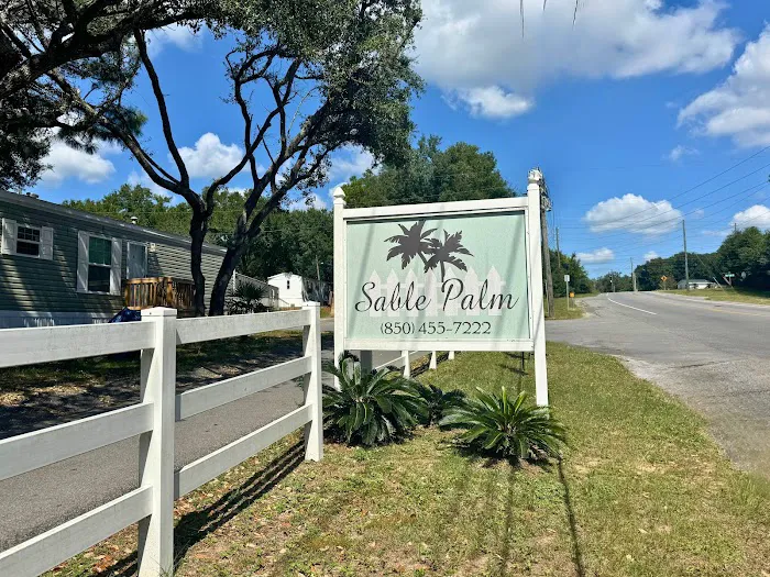Sabal Palm Picture 2