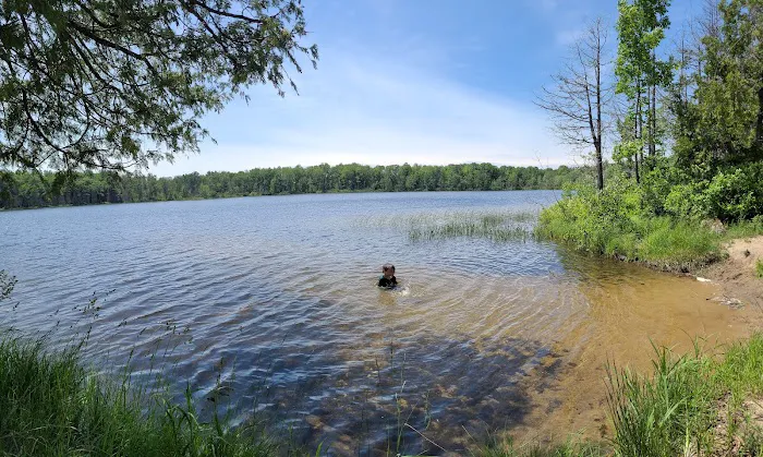 Healy Lake Beach Picture 1