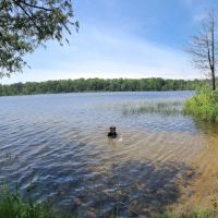 Healy Lake Beach ico