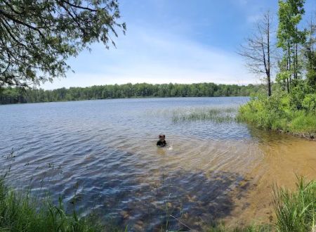 Healy Lake Beach