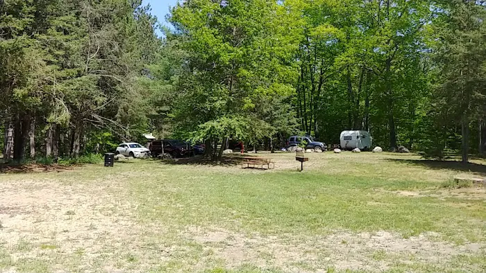 Healy Lake Beach Picture 10