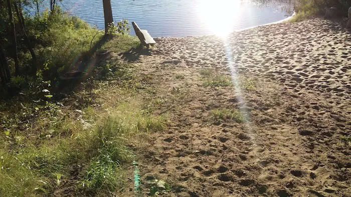 Healy Lake Beach Picture 9