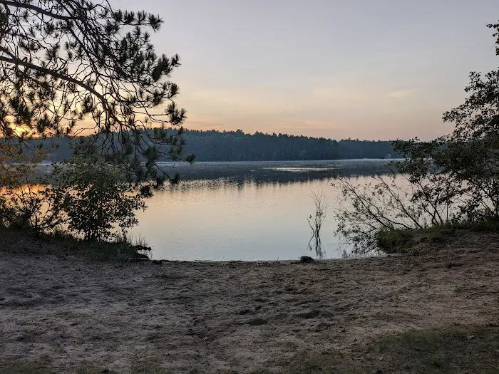 Arbutus Lake State Forest Campground Picture 4