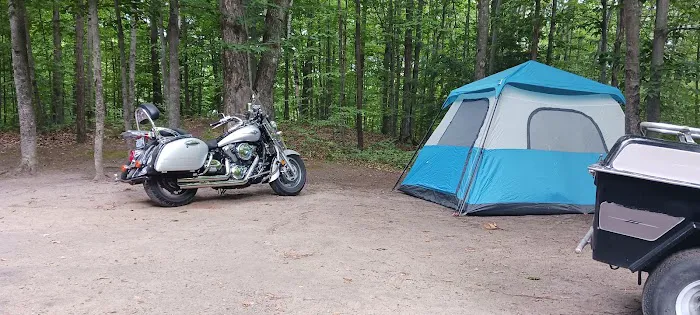 Arbutus Lake State Forest Campground Picture 8