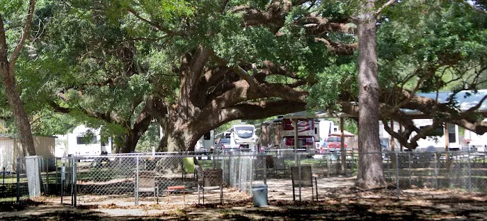 Pensacola RV Park Picture 1