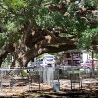 Pensacola RV Park ico