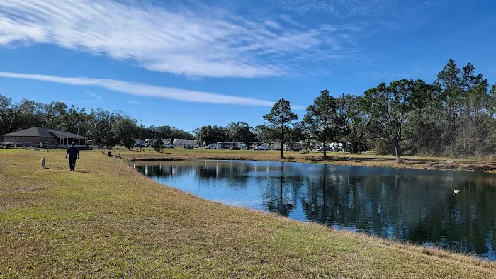Pensacola RV Park Picture 7
