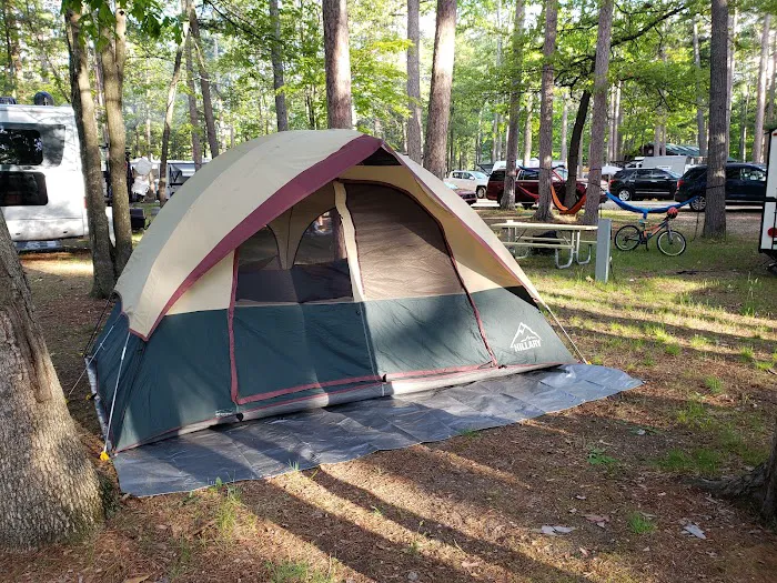 Traverse City State Park Campground Picture 5