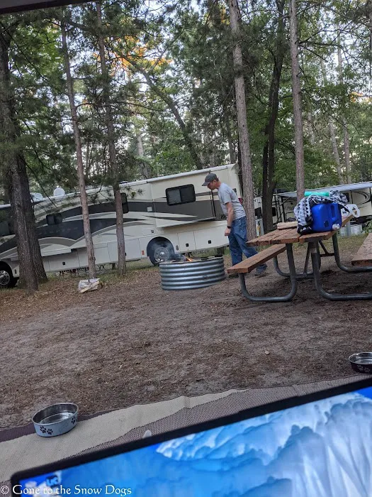 Traverse City State Park Campground Picture 1