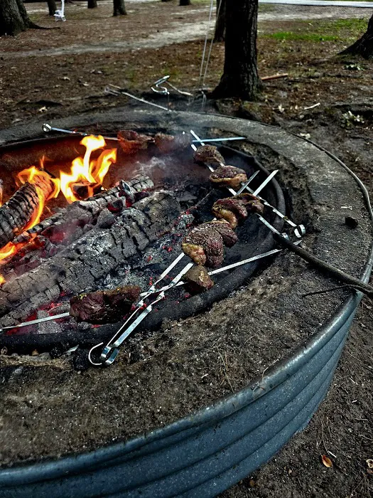 Traverse City State Park Campground Picture 8