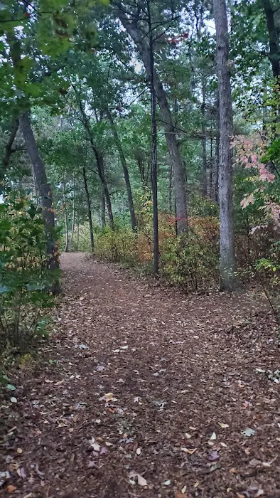 Traverse City State Park Campground Picture 6