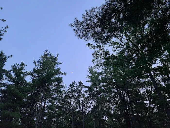 Traverse City State Park Campground Picture 7