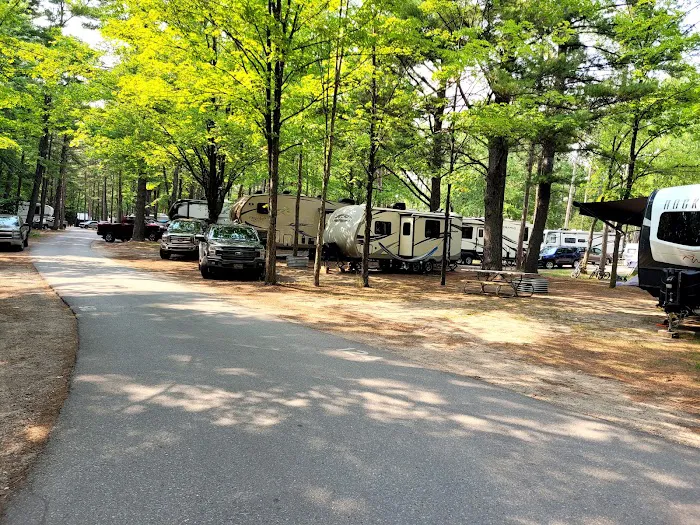 Traverse City State Park Campground Picture 9
