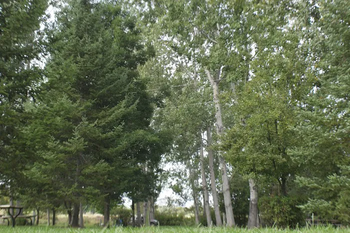 Everflowing Waters Campground Picture 9
