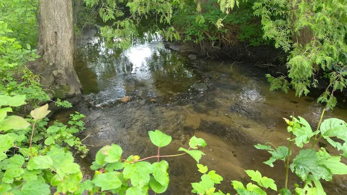 Everflowing Waters Campground Picture 2