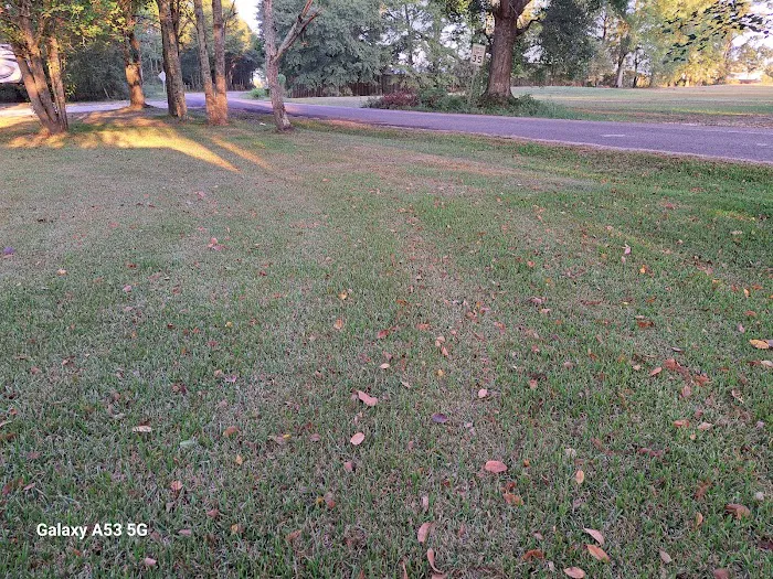 Royal Oaks RV sites Picture 3