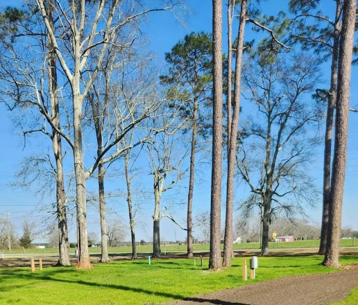Wayside RV Park Picture 4