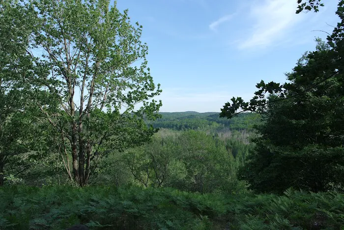 Pinney Bridge State Forest Campground Picture 1