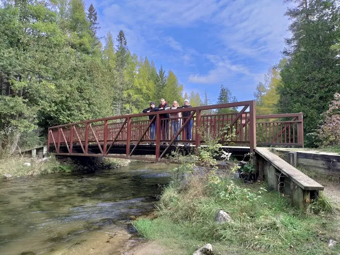 Pinney Bridge State Forest Campground Picture 3