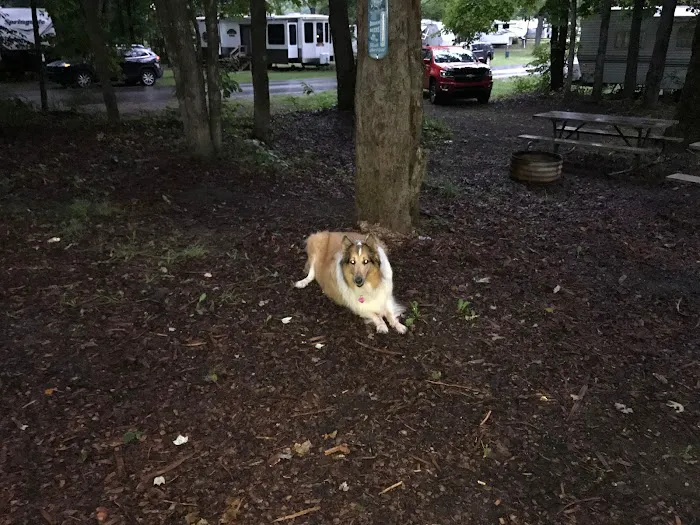 Lakes of the North Campground Picture 2