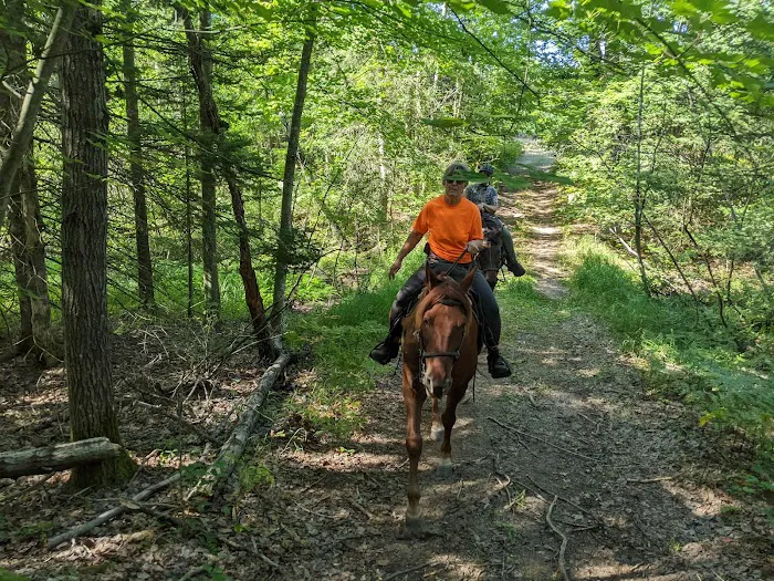 Big Oaks Equestrian State Campground Picture 1
