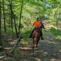 Big Oaks Equestrian State Campground ico