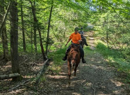 Big Oaks Equestrian State Campground