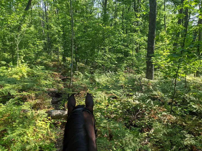 Big Oaks Equestrian State Campground Picture 3