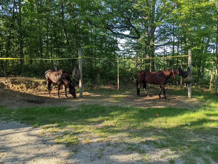 Big Oaks Equestrian State Campground Picture 4