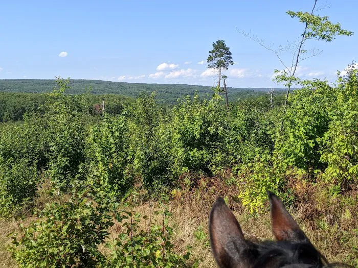 Big Oaks Equestrian State Campground Picture 2