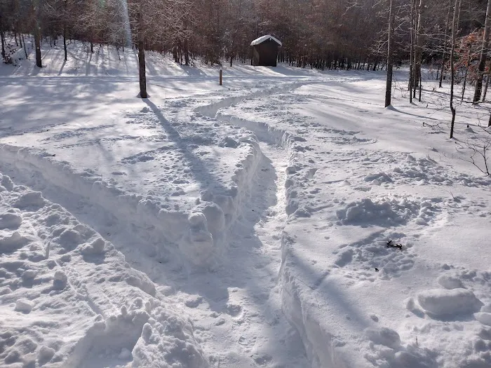Avery Lake State Forest Campground Picture 10