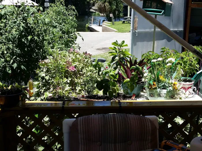 Big Oaks River Resort Picture 3