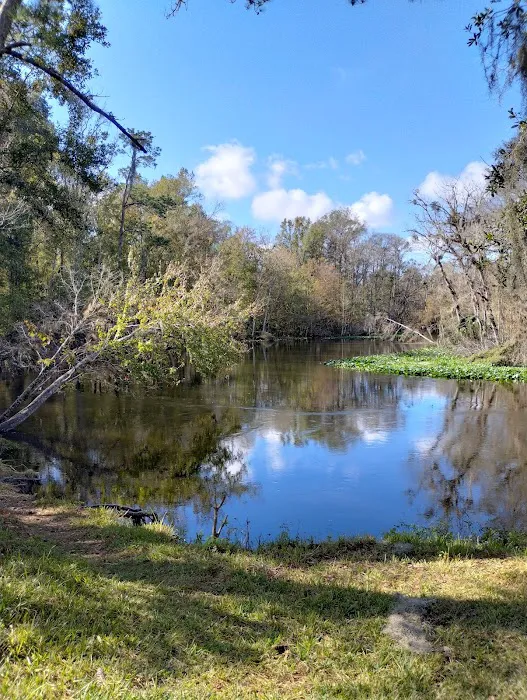 Wilderness RV Resort Picture 3