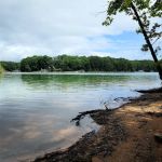 Bald Ridge Creek Campground