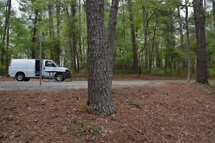 Bald Ridge Creek Campground Picture 7