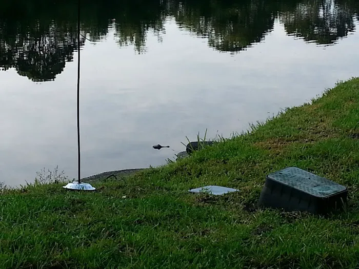 Coquina Crossing Picture 3