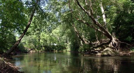 Etowah River Campground Picture 6