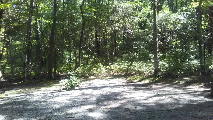 Dockery Lake Recreation Area Picture 1