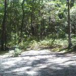 Dockery Lake Recreation Area