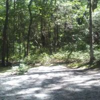 Dockery Lake Recreation Area ico