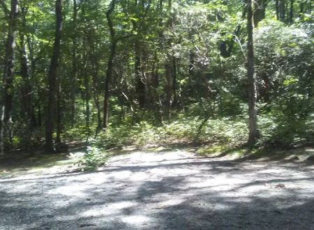 Dockery Lake Recreation Area