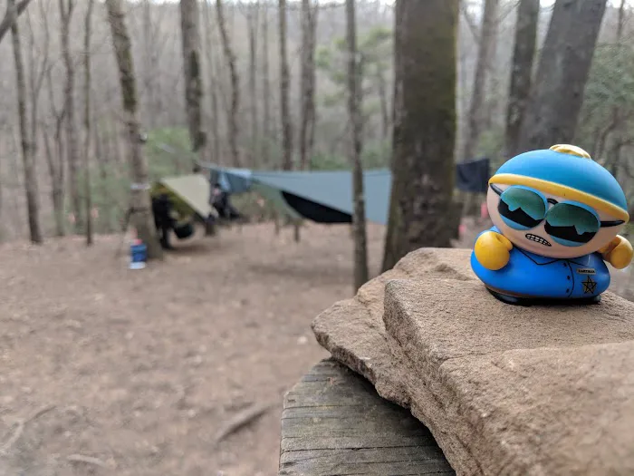 Gooch Mountain Shelter Picture 1