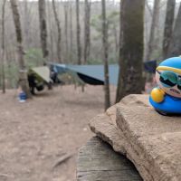 Gooch Mountain Shelter ico