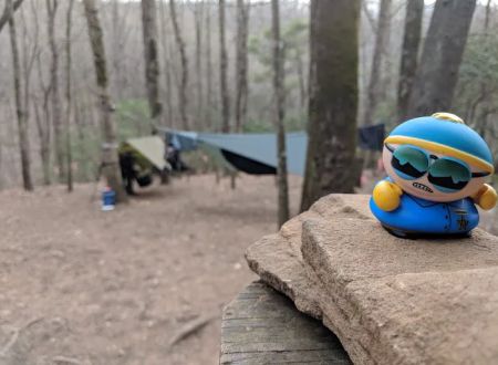 Gooch Mountain Shelter