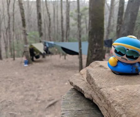 Gooch Mountain Shelter