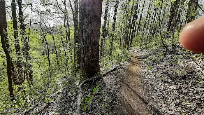 Gooch Mountain Shelter Picture 5