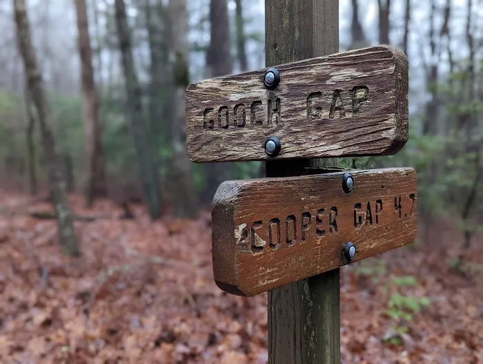 Gooch Mountain Shelter Picture 3